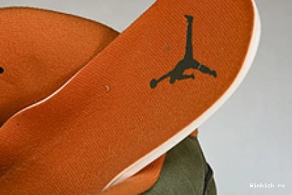 “Olive” Jordan Air 5 1008